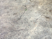 texture mat pattern4